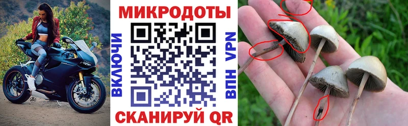 мориарти наркотические препараты Гаврилов Посад Галлюциногенные грибы MAGIC MUSHROOMS